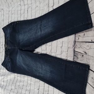 Lane Bryant Distinctly Boot Dark Wash Jeans